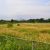 Quarry meeting May 13th
