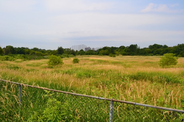 Quarry Lands, Gerrard & Clonmore