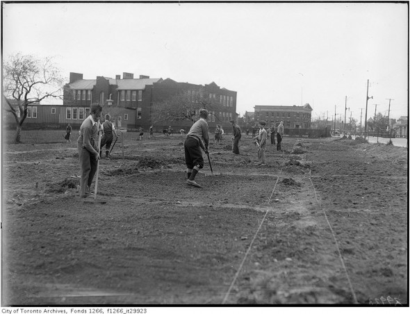 Garden plots in Birch Cliff P.S. playground, 1933. Courtesy of City of Toronto archives