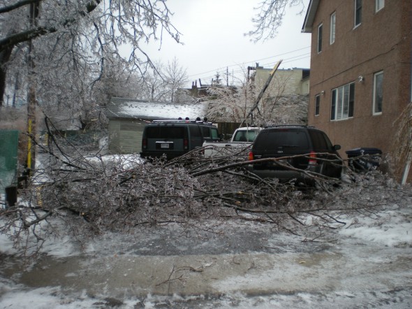 Tree limbs fall on vehicles on Kildonan Drive