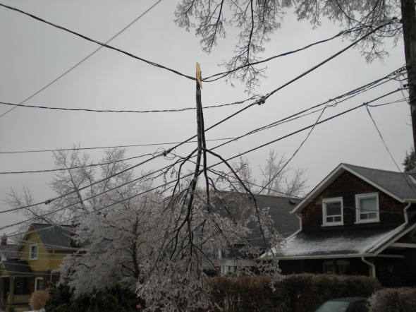 Tree branch stuck in power lines on Kildonan Drive