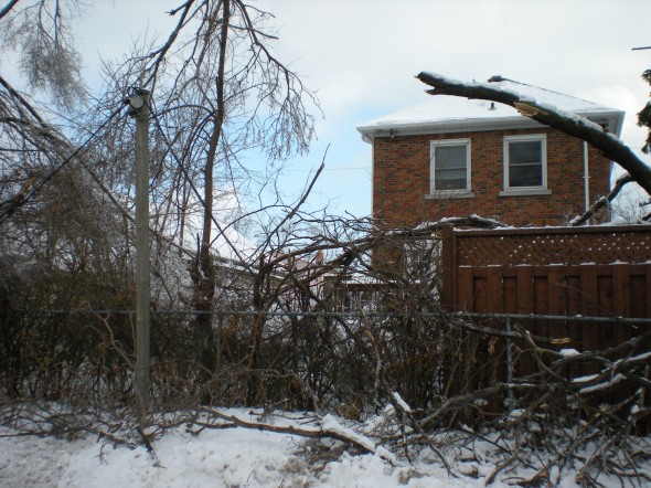 Manderley power lines